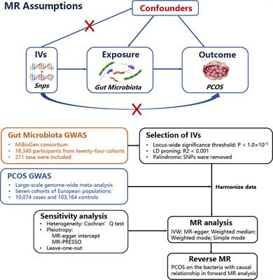 Causal relationship between gut microbiota and polycystic ovary syndrome: a literature review and Mendelian randomization study